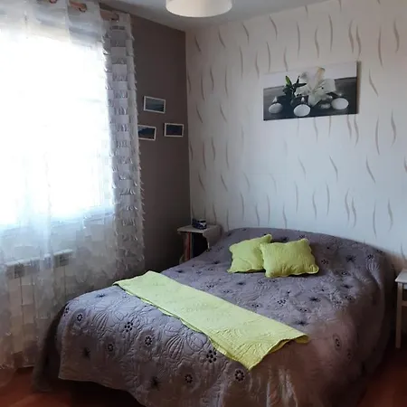 Tulipe24 Savigne-l'Eveque